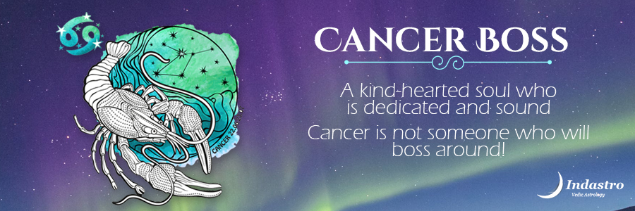 Cancer Boss