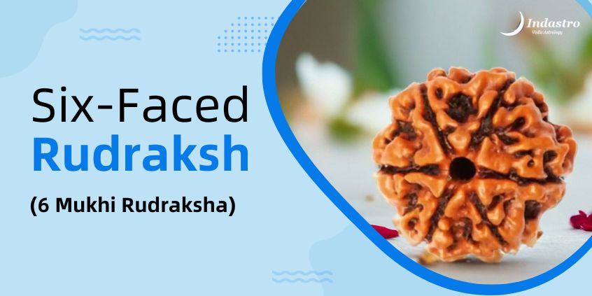 Six-Faced Rudraksh (Six Mukhi Rudraksha)